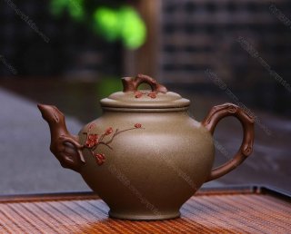 雙色報(bào)春  雙色報(bào)春