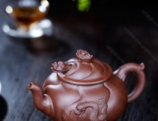 魚化龍  魚化龍