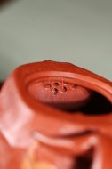 《安居樂(lè)業(yè)》