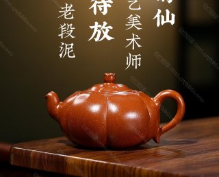 含苞待放  含苞待放