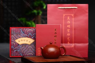 松鼠西施  松鼠西施