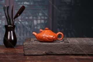 魚化龍  魚化龍