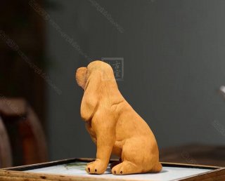 《金毛狗》  《金毛狗》