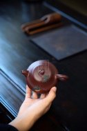 《瓜瓜來(lái)財(cái)》
