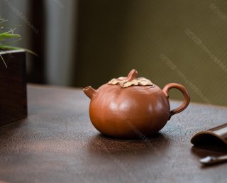 茄瓜  茄瓜