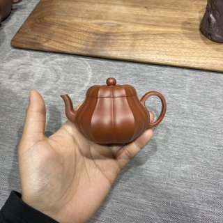 筋紋君德  筋紋君德