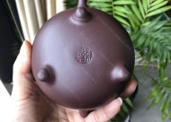 竹韻飄香；紫泥350CC