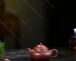 秋菊  秋菊