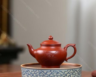 笑櫻  笑櫻