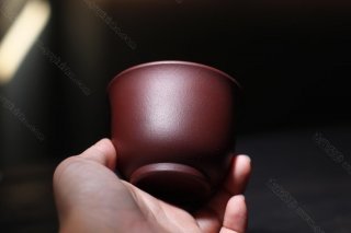 主人杯  主人杯