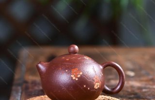 梅花西施  梅花西施