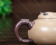 國(guó)寶熊貓