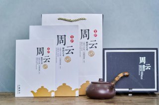 竹韻石瓢  竹韻石瓢