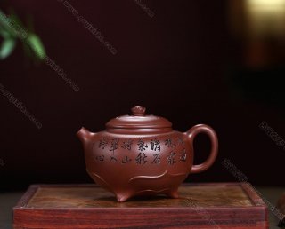 荷蓮  荷蓮