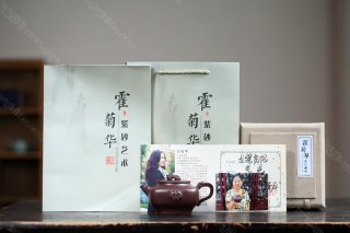 龍驤虎視  龍驤虎視