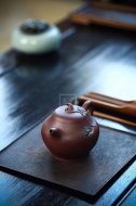 《瓜瓜來(lái)財(cái)》