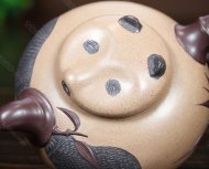 國(guó)寶熊貓