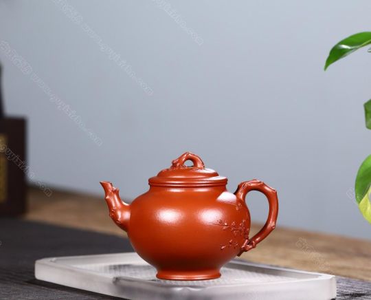 小報(bào)春  小報(bào)春