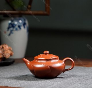 風卷葵  風卷葵