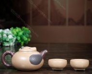 國(guó)寶熊貓