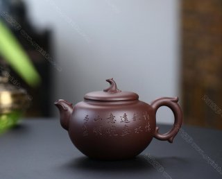 丹鳳朝陽  丹鳳朝陽