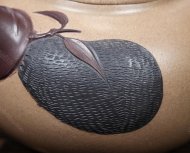 國(guó)寶熊貓