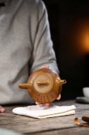 江南好，風景舊曾諳【平蓋子冶】