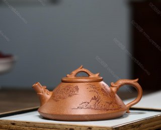 龍瓢  龍瓢
