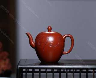 美人肩  美人肩