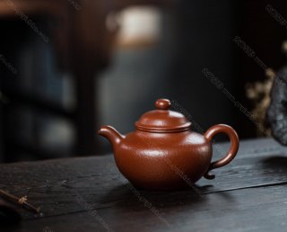 蓮子  蓮子