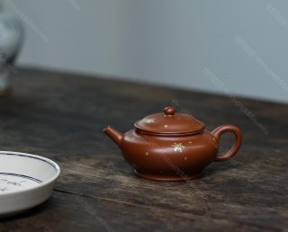 撒金·扁燈  撒金·扁燈