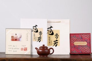 掇只  掇只
