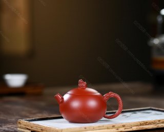 龍珠西施  龍珠西施