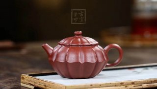 《筋紋菊瓣》  《筋紋菊瓣》