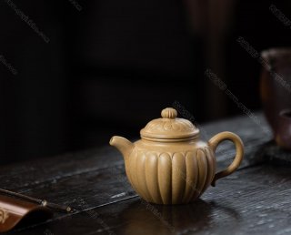 筋紋蓮子  筋紋蓮子