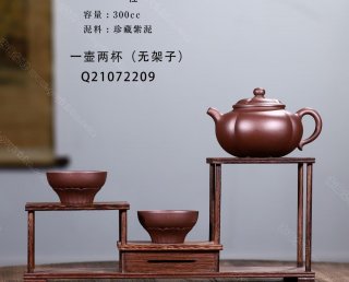 花蕾  花蕾