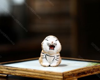小萌虎  小萌虎