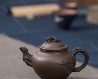 松報(bào)春  松報(bào)春