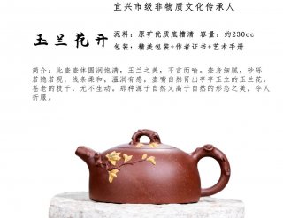 玉蘭花開  玉蘭花開