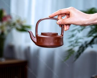 提壁  提壁