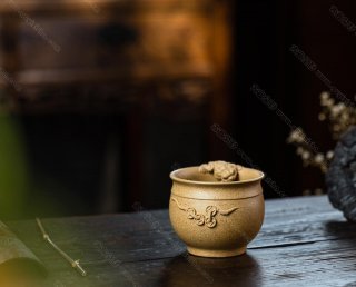 金蟾主人杯  金蟾主人杯