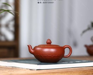 禪蓮  禪蓮