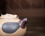 國(guó)寶熊貓