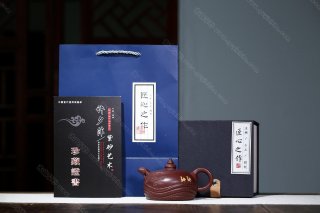 沙漠之舟  沙漠之舟