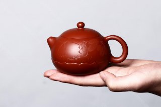荷風(fēng)西施  荷風(fēng)西施