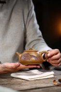 江南好，風景舊曾諳【平蓋子冶】