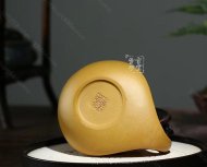 《金蟾納?！? title=