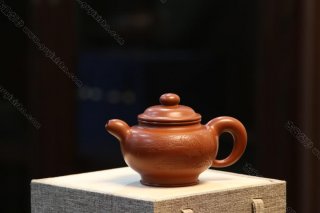 道洪掇只  道洪掇只