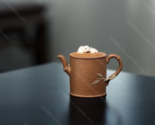 竹節石  竹節石