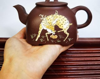 孤菱  孤菱